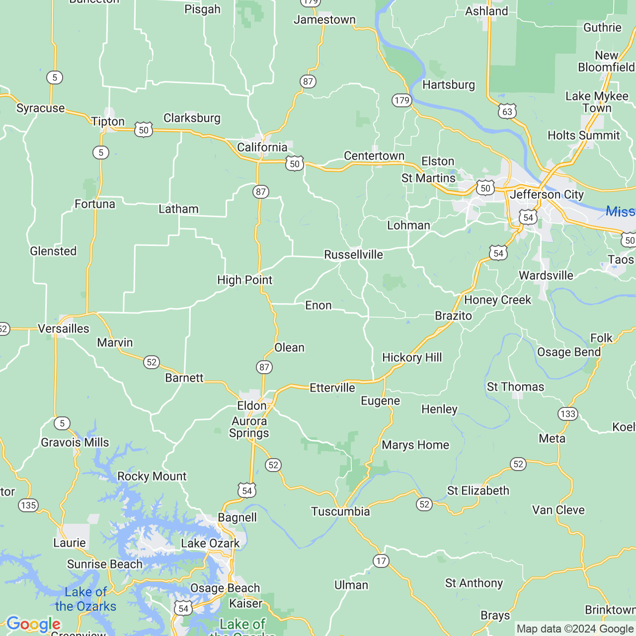 Google Maps Static Image