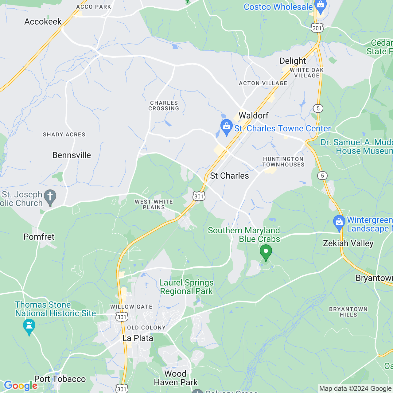 Google Maps Static Image