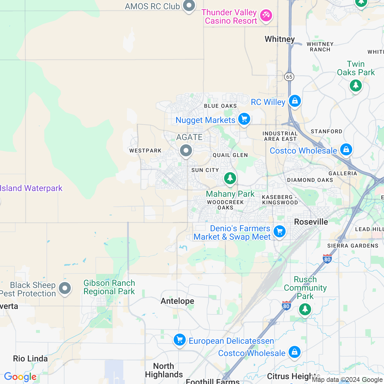 Google Maps Static Image