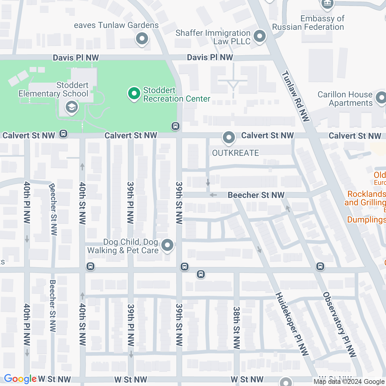 Google Maps Static Image