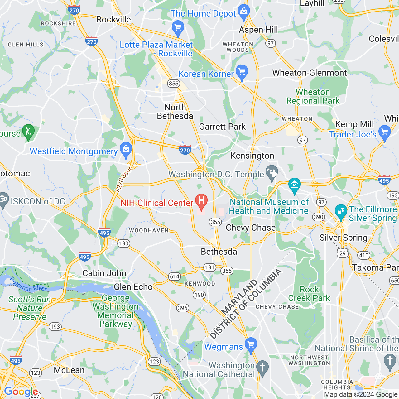 Google Maps Static Image