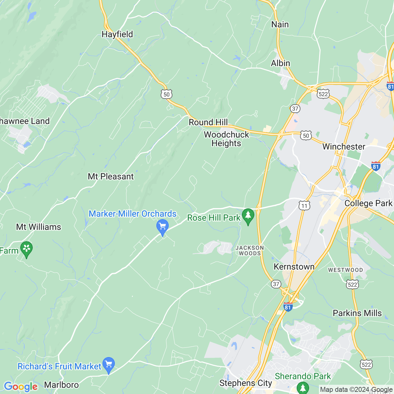 Google Maps Static Image