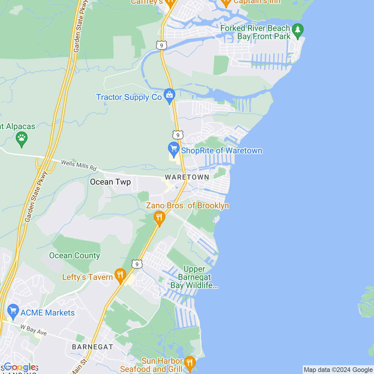 Google Maps Static Image