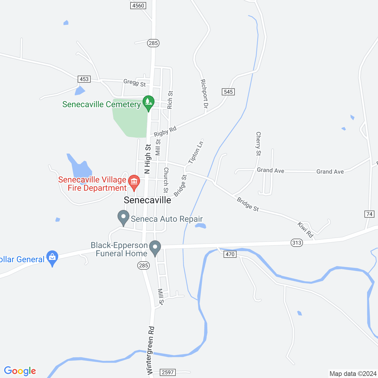 Google Maps Static Image