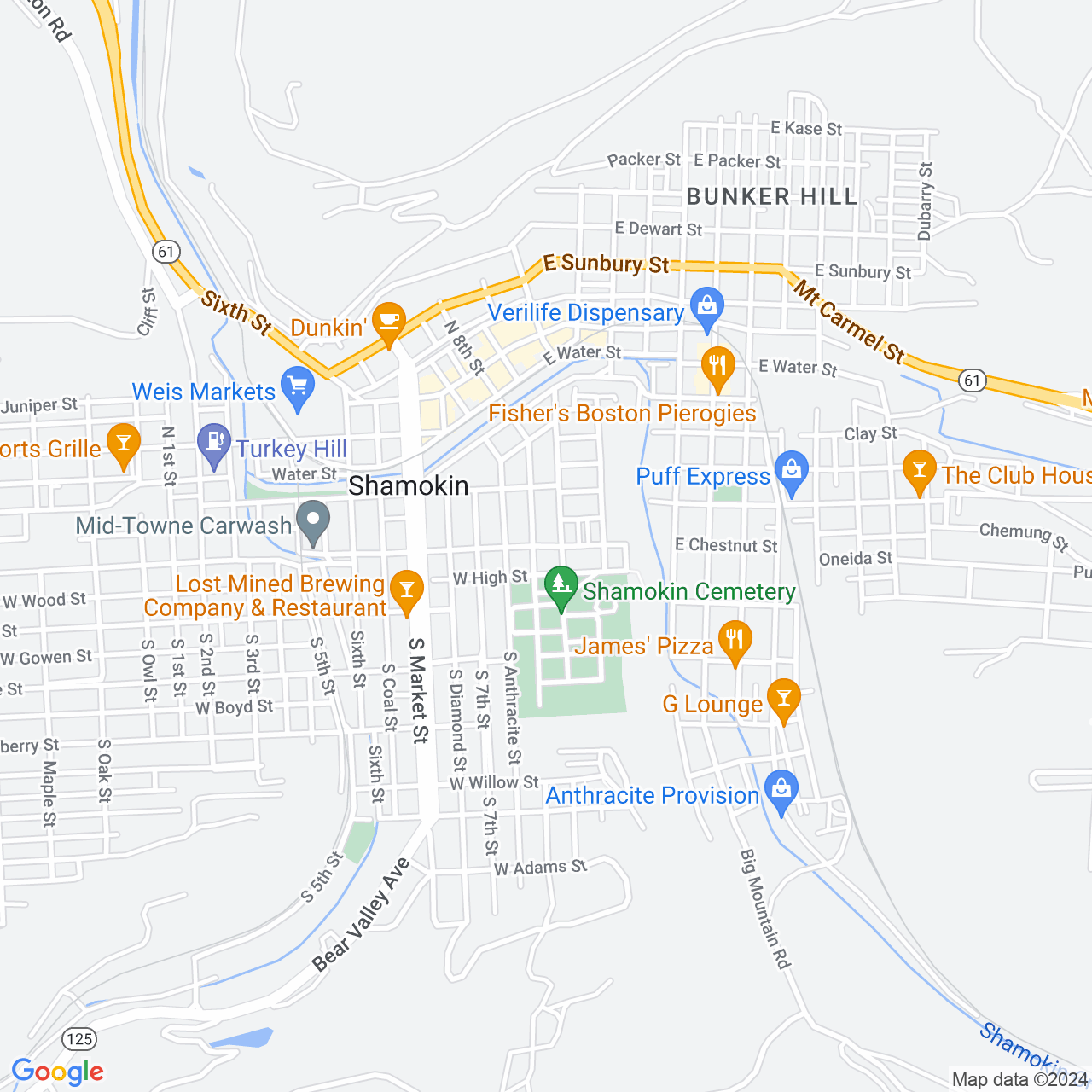 Google Maps Static Image