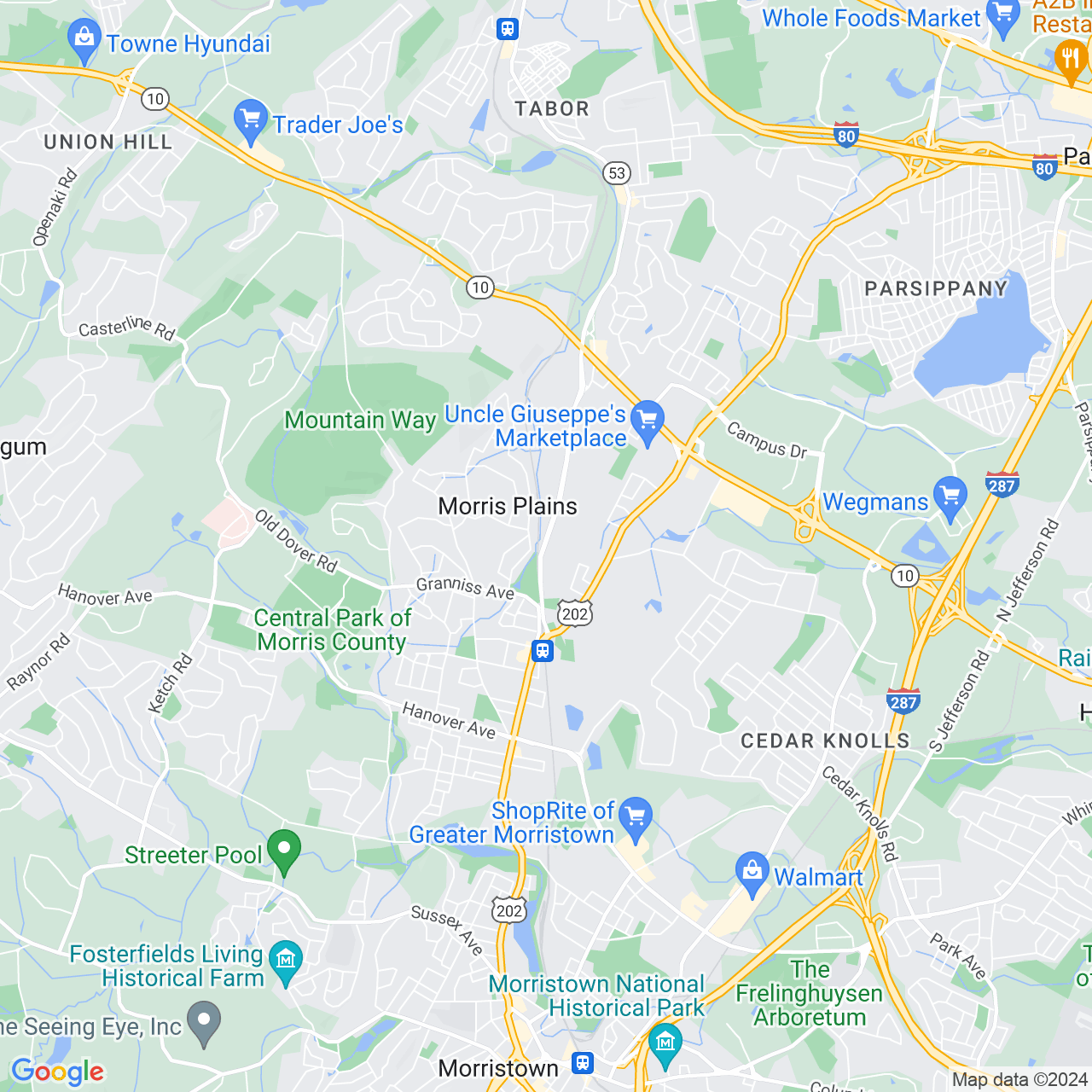 Google Maps Static Image