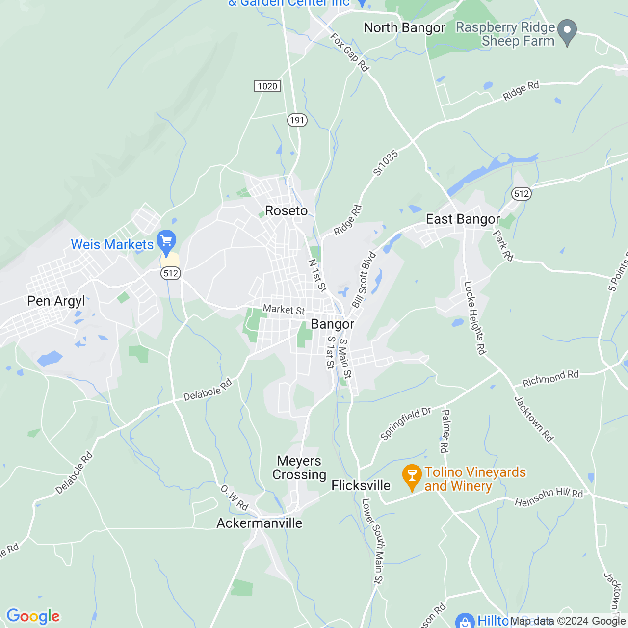 Google Maps Static Image