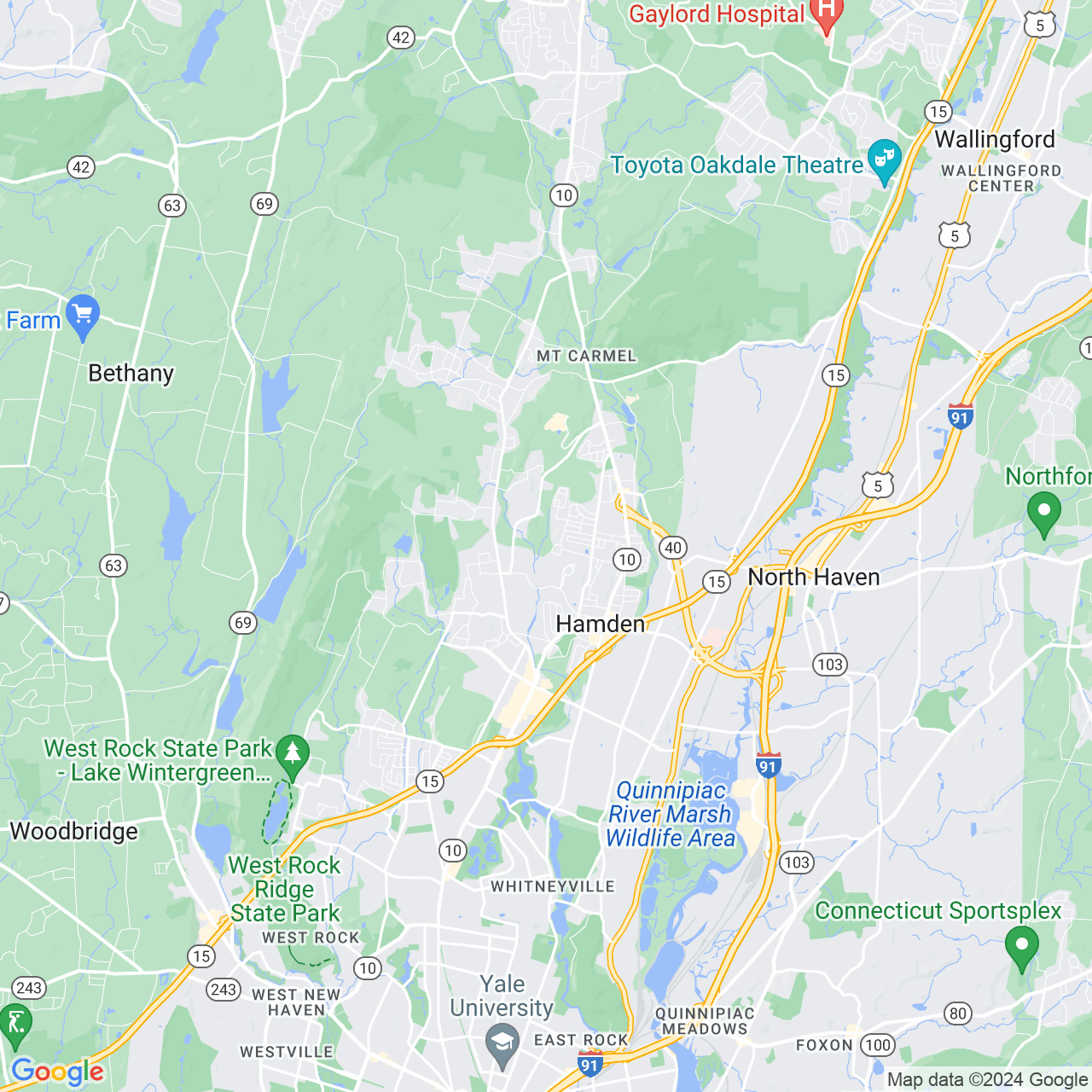 Google Maps Static Image