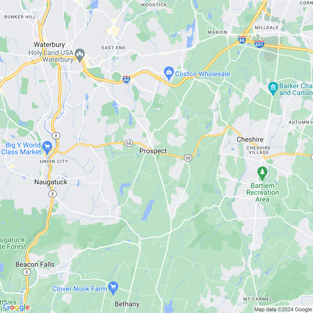 Google Maps Static Image