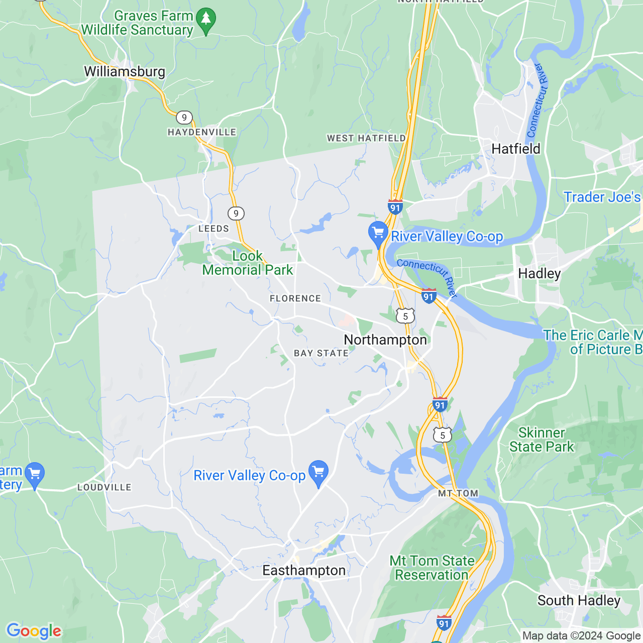 Google Maps Static Image