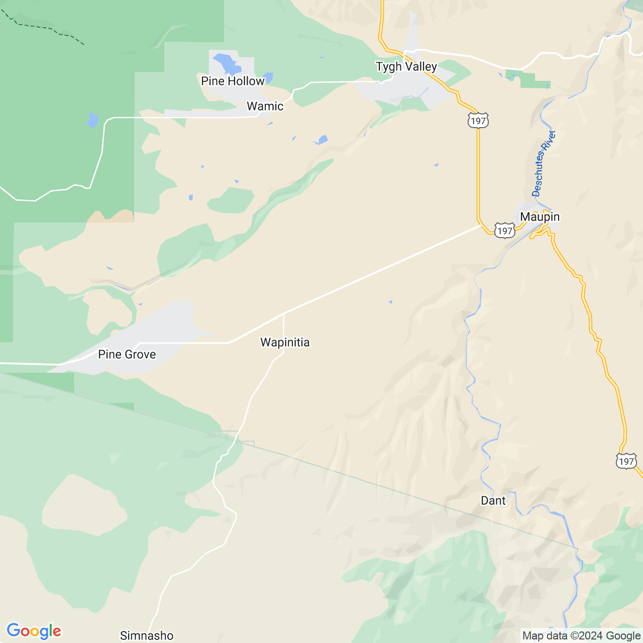 Google Maps Static Image