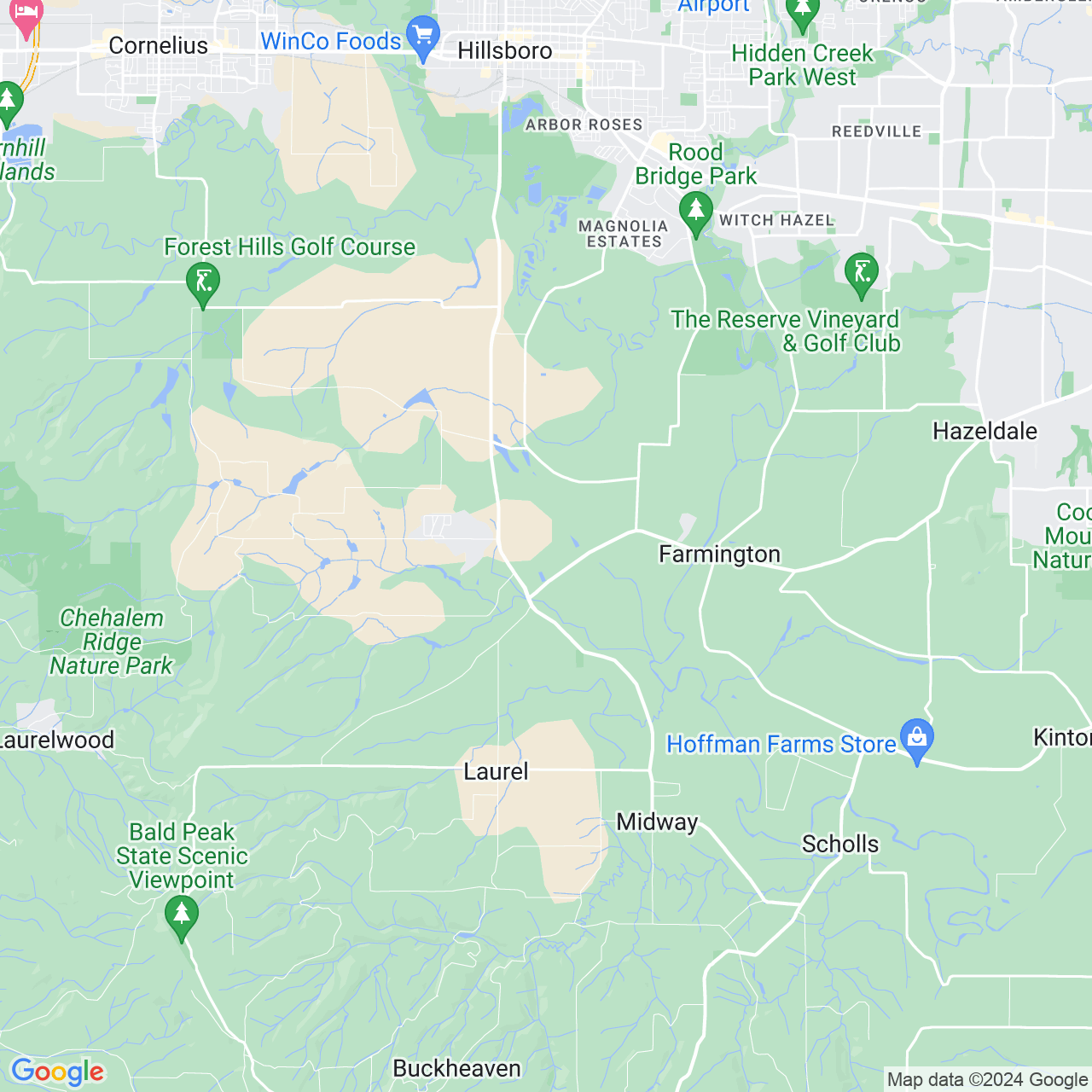 Google Maps Static Image