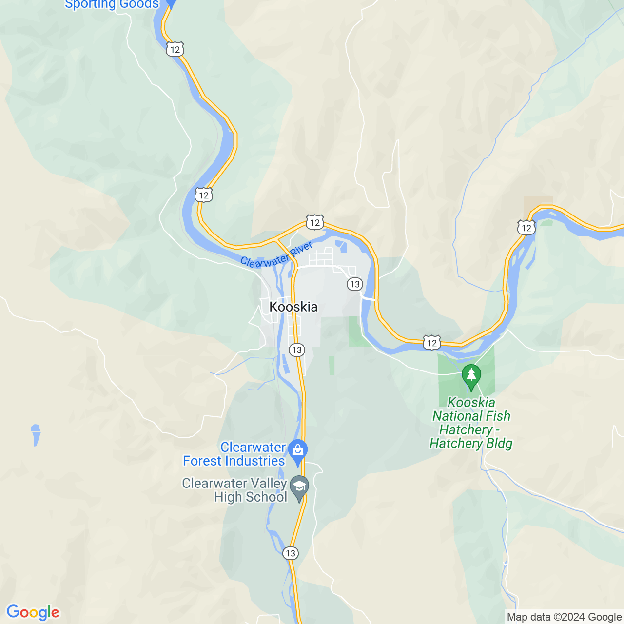 Google Maps Static Image