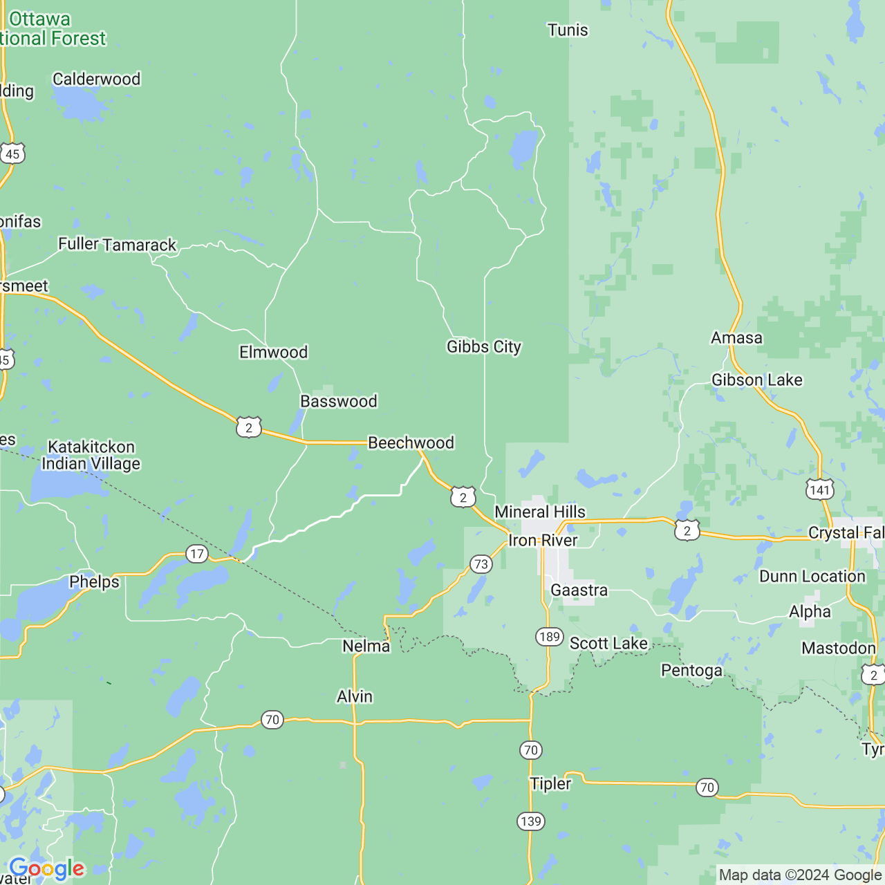 Google Maps Static Image