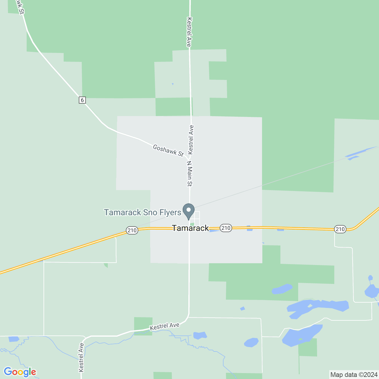 Google Maps Static Image