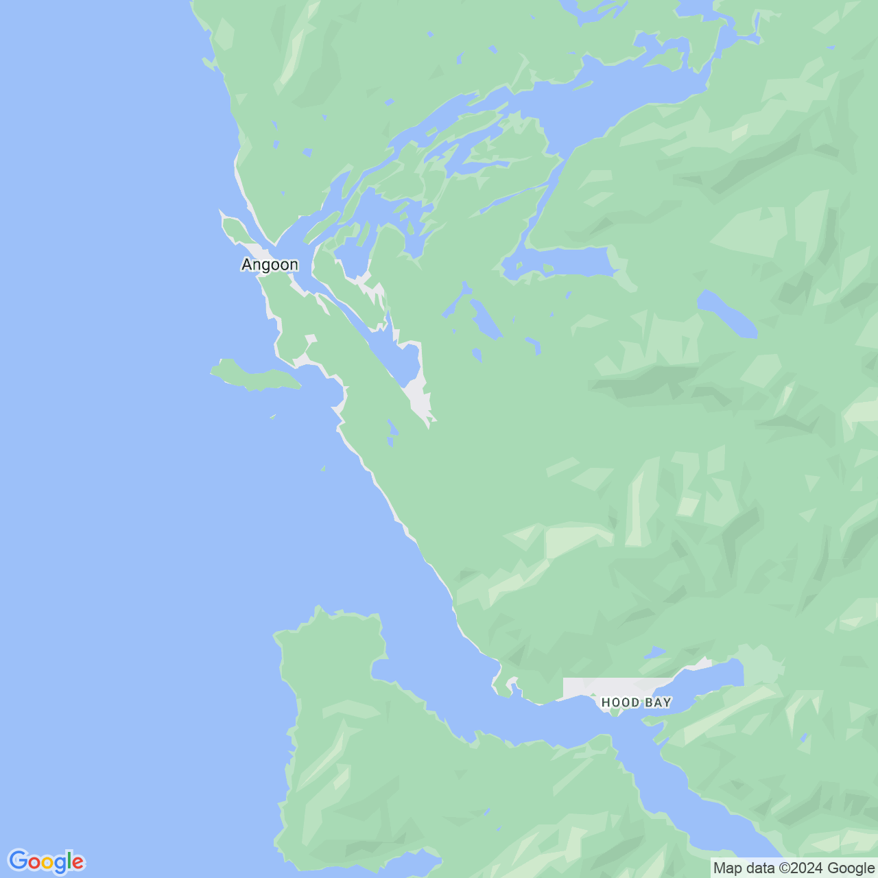 Google Maps Static Image