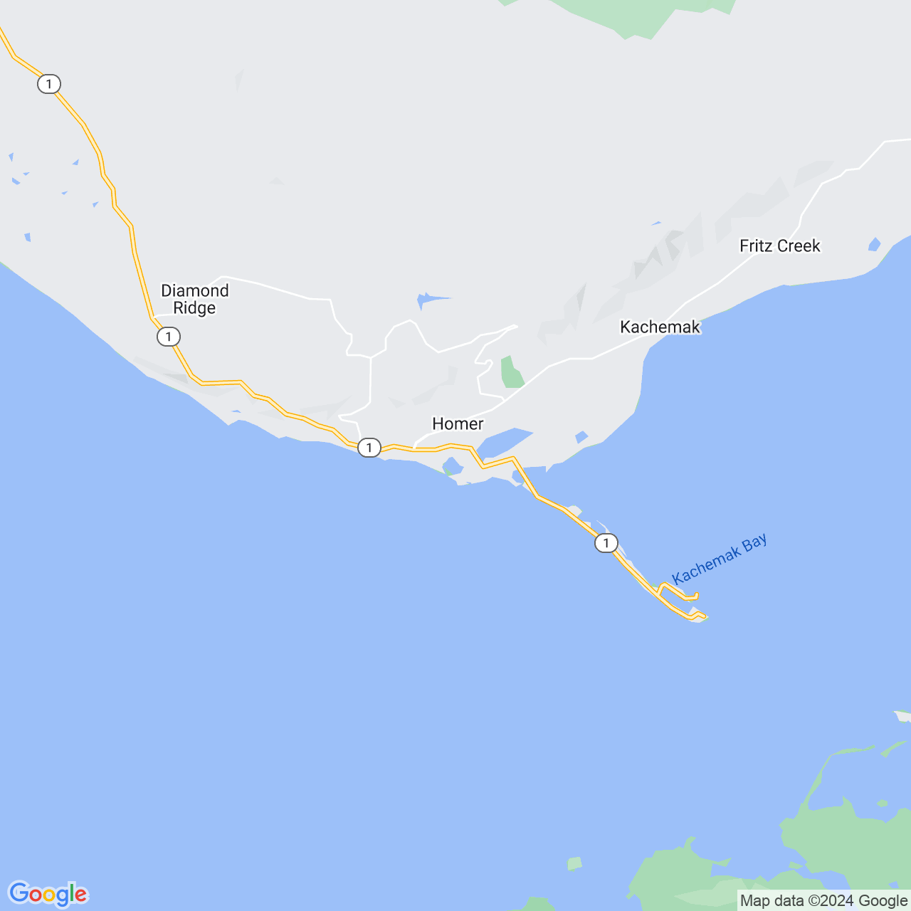 Google Maps Static Image