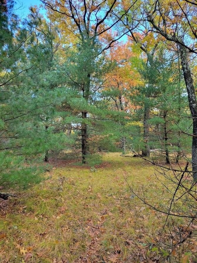 2. Lot 55 19th Creek