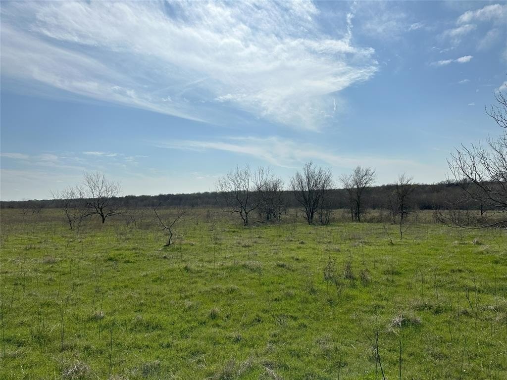 3. Tract 1c (16.69 Acres) SW County Road 2360