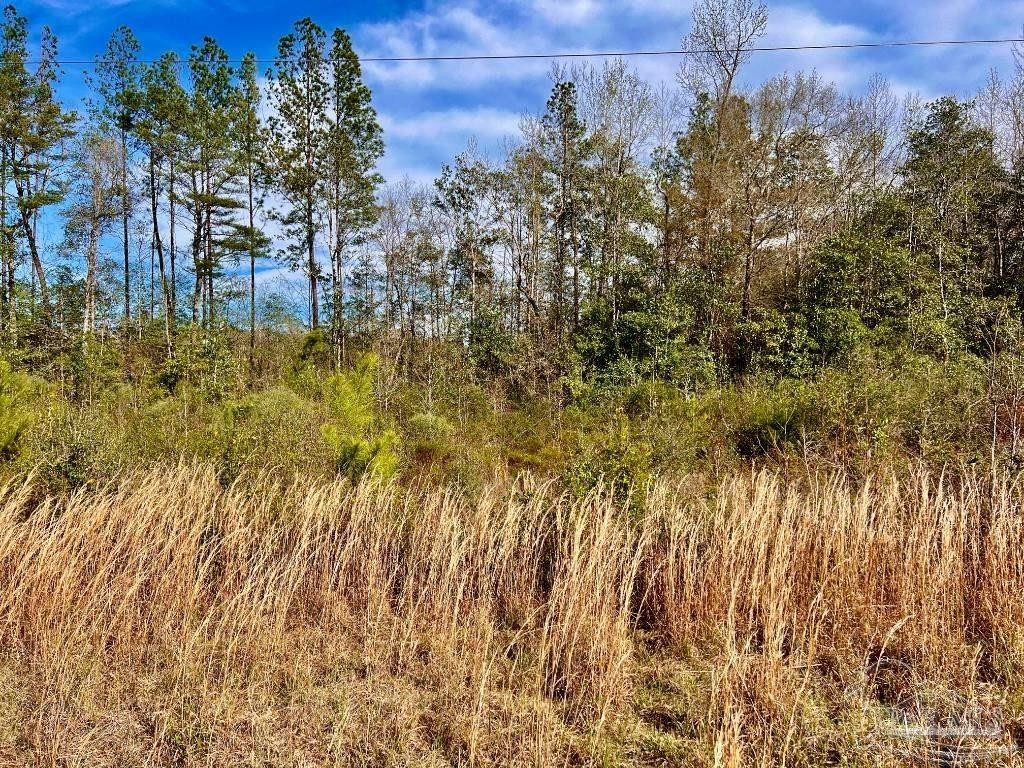 8. Lot 17n Cotton Lake Rd