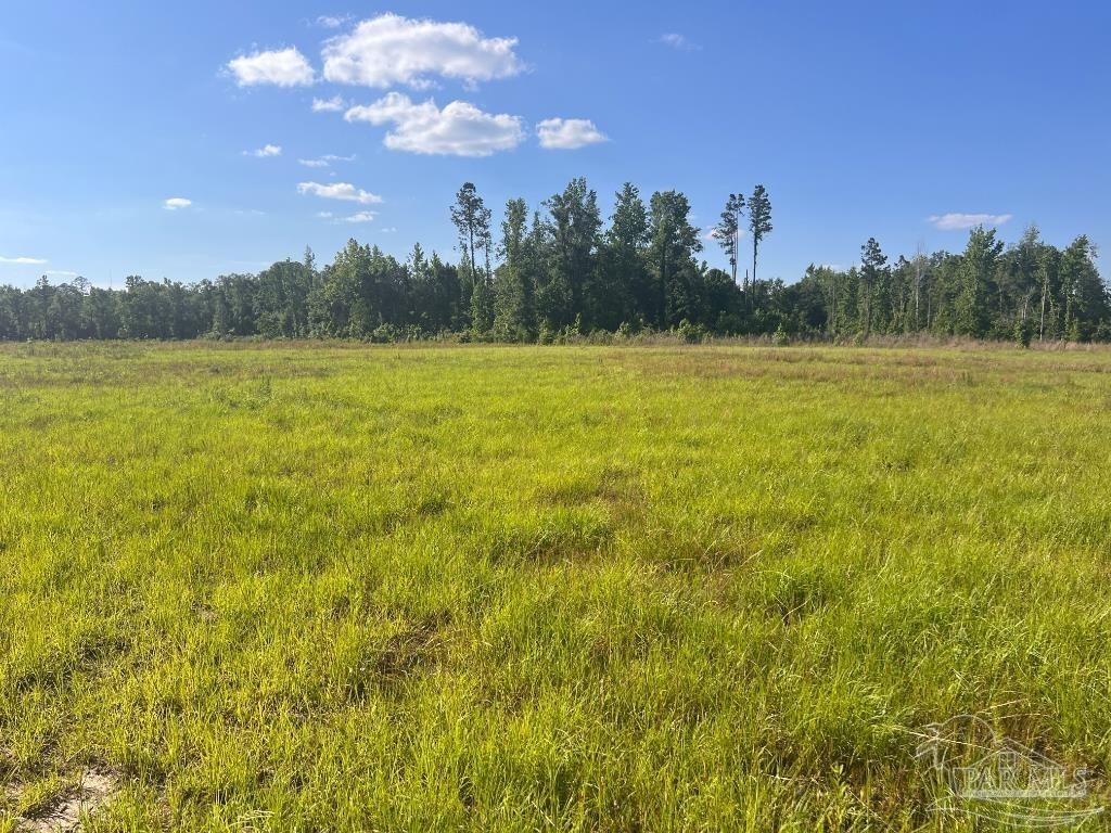 2. Lot 17-C Cotton Lake Rd