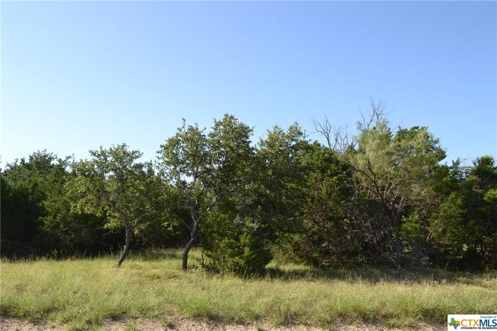 1. Block 7, Lot 15 Lampasas River Place Phase Two