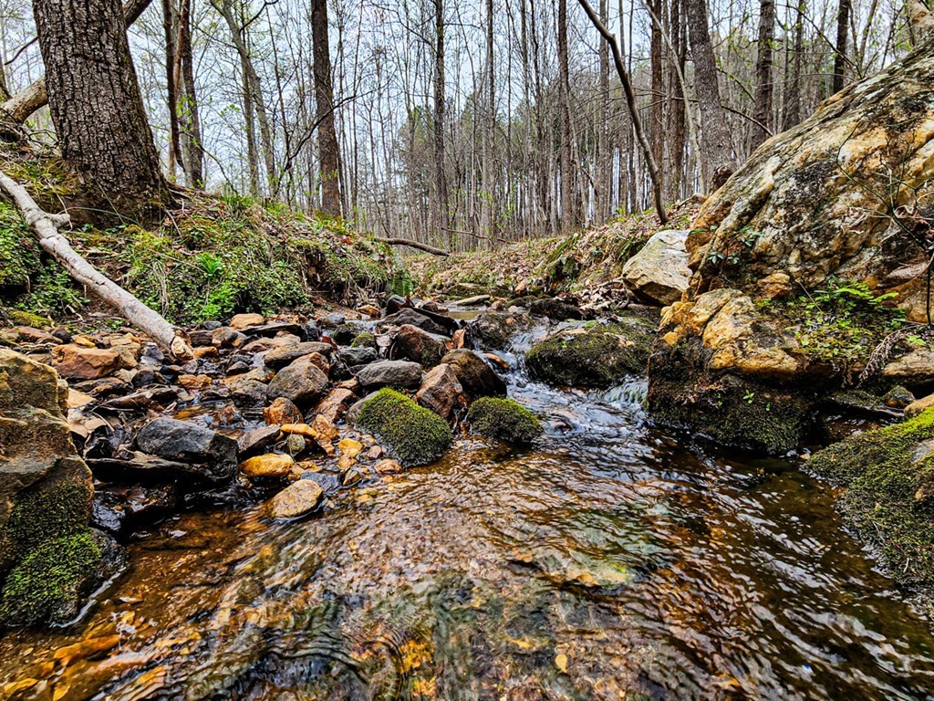 16. Coopers Mountain Road