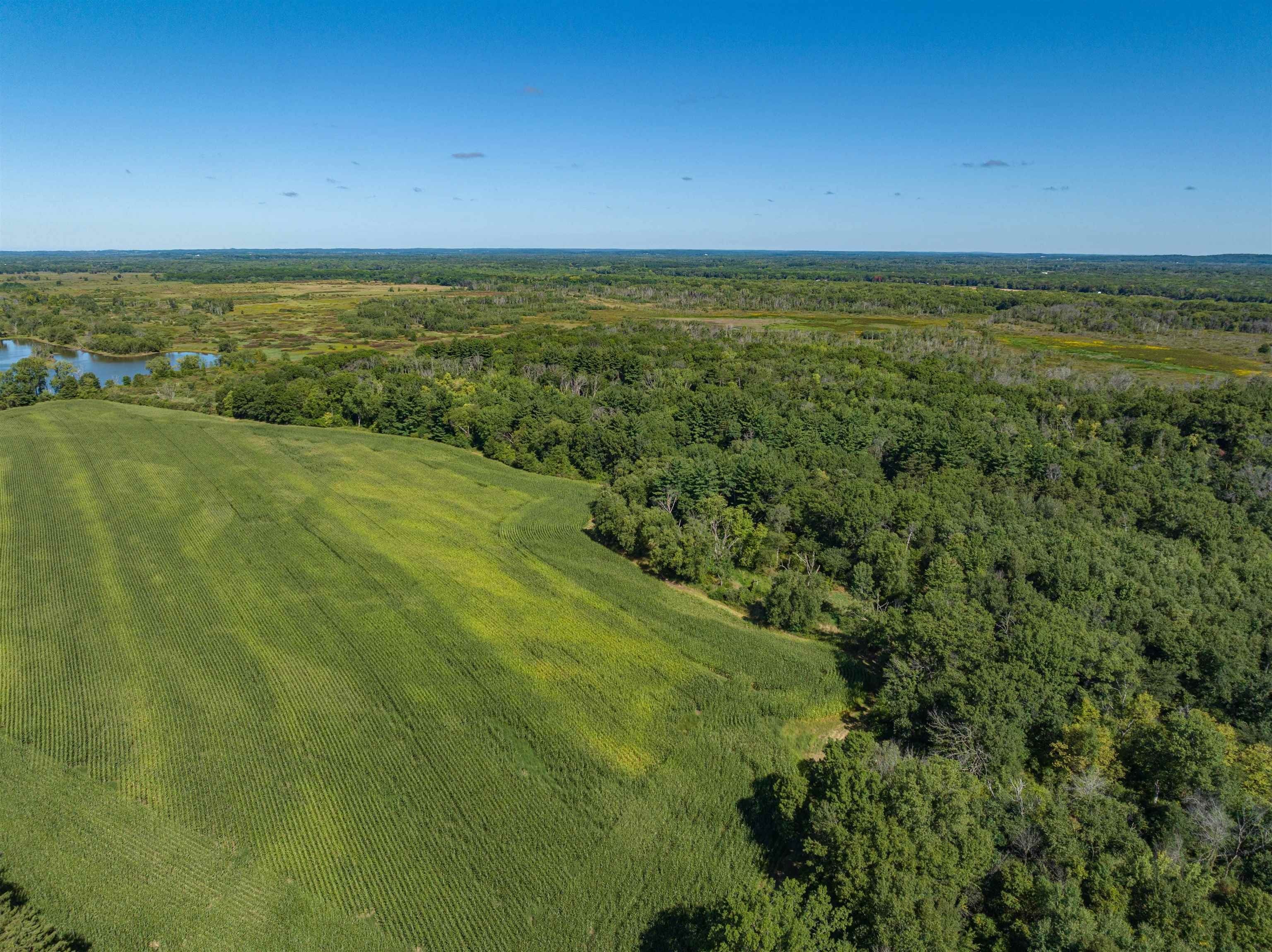 9. 372 +/- Acres Tritz Road