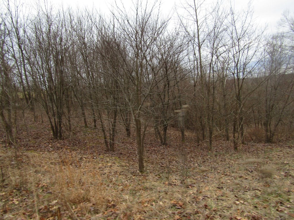 12. 43+ac Upper Crab Road