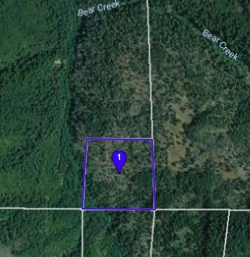 2. 40 +/- Acres Mountain