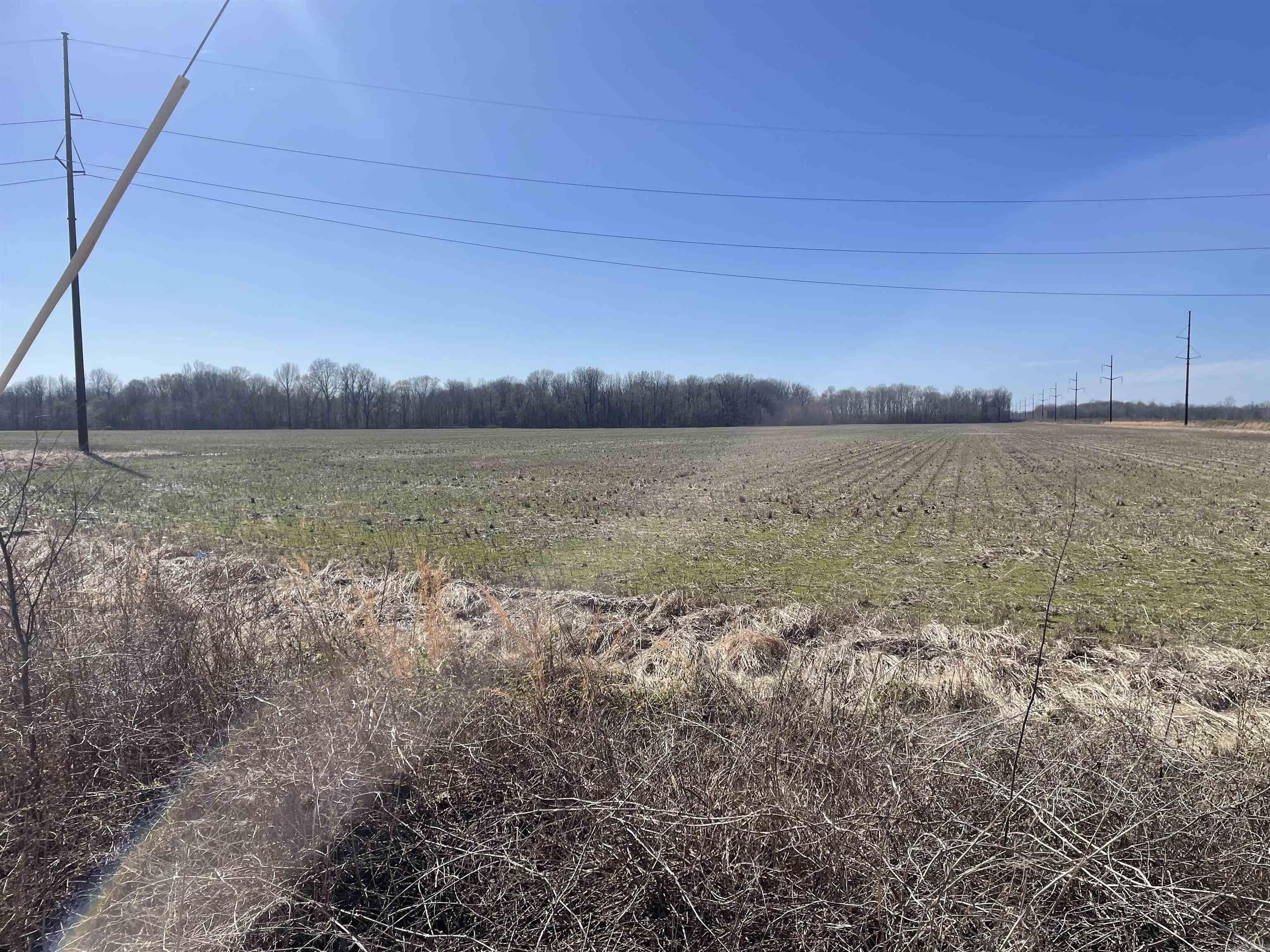 2. 46 Acres +/- Hwy 49 North