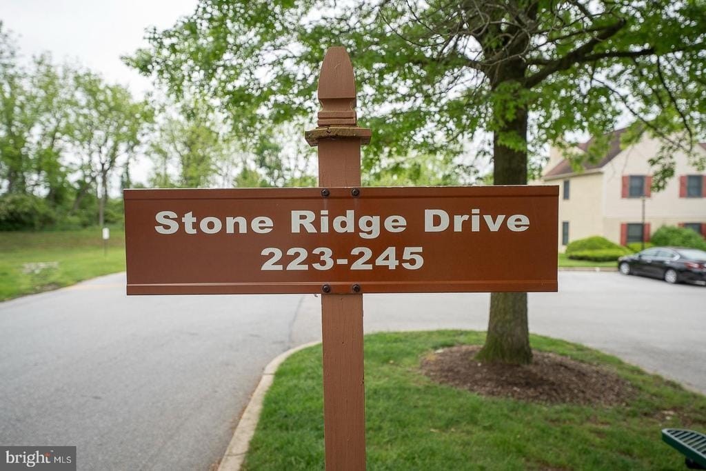 50. 229 Stone Ridge