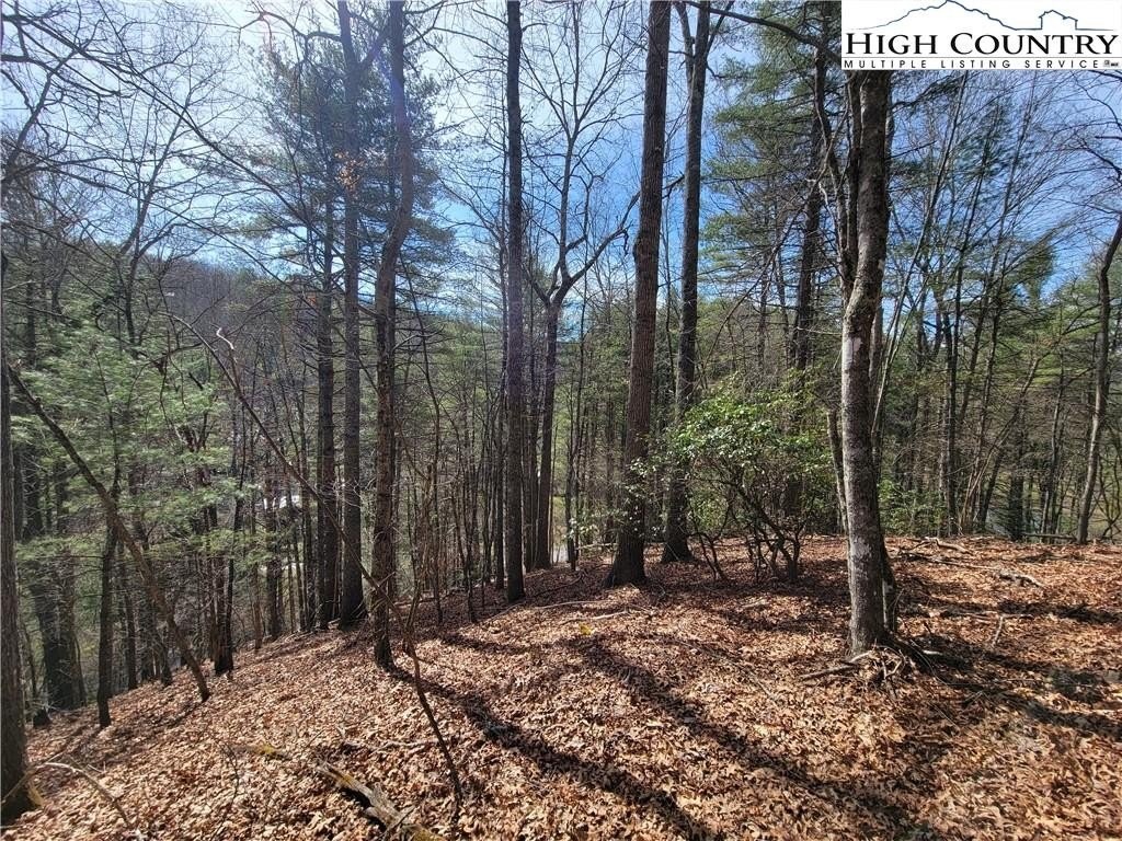 2. Lot 72 Creekside Meadows/Lake Front Drive