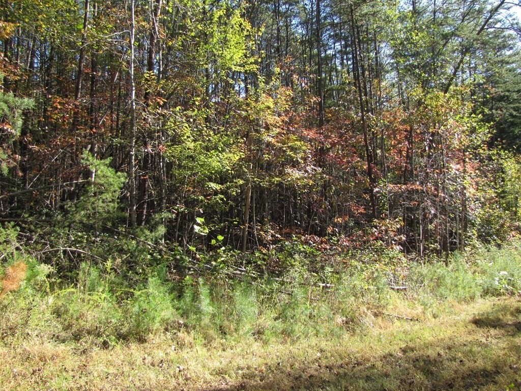 2. Lot 12 Melmark Acres Trail