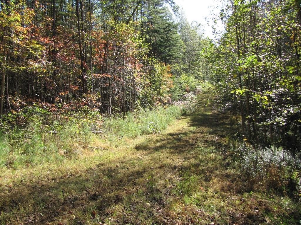 1. Lot 12 Melmark Acres Trail