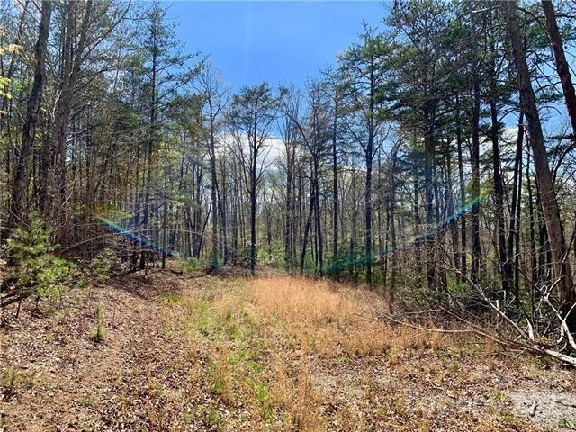 7. 1.55 Acres,Lot 30 Shady Bark Lane