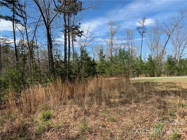 4. 1.55 Acres,Lot 30 Shady Bark Lane