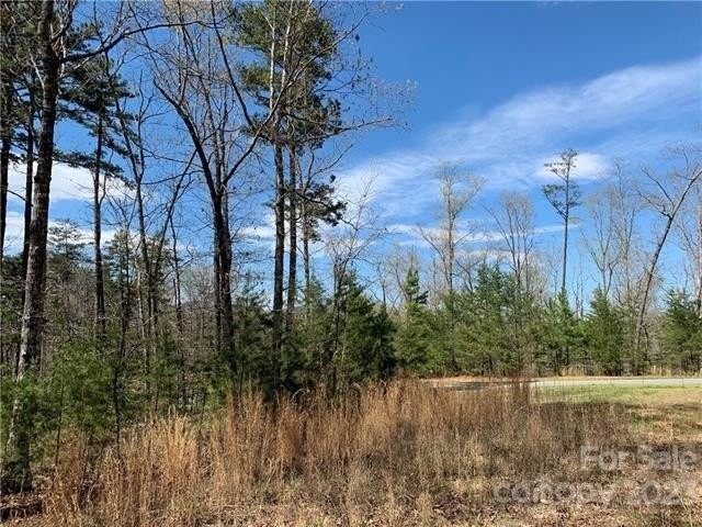 8. 1.55 Acres,Lot 30 Shady Bark Lane