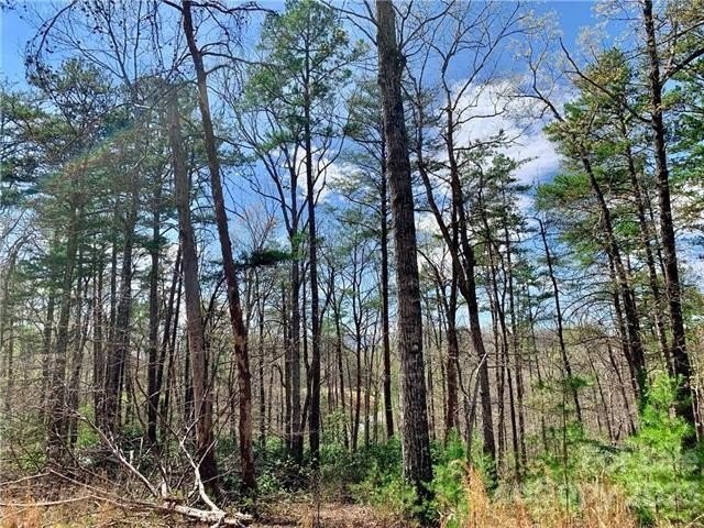 9. 1.55 Acres,Lot 30 Shady Bark Lane