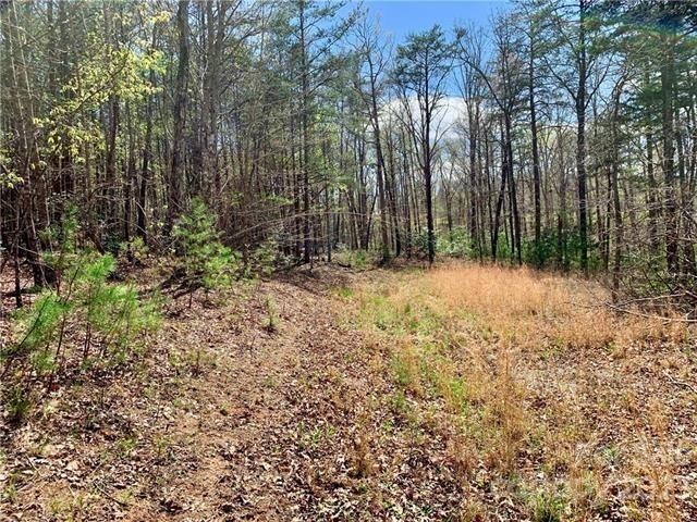 5. 1.55 Acres,Lot 30 Shady Bark Lane