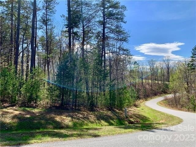 3. 1.55 Acres,Lot 30 Shady Bark Lane