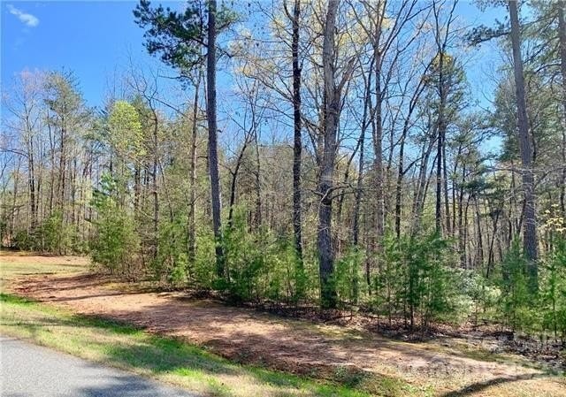 10. 1.55 Acres,Lot 30 Shady Bark Lane