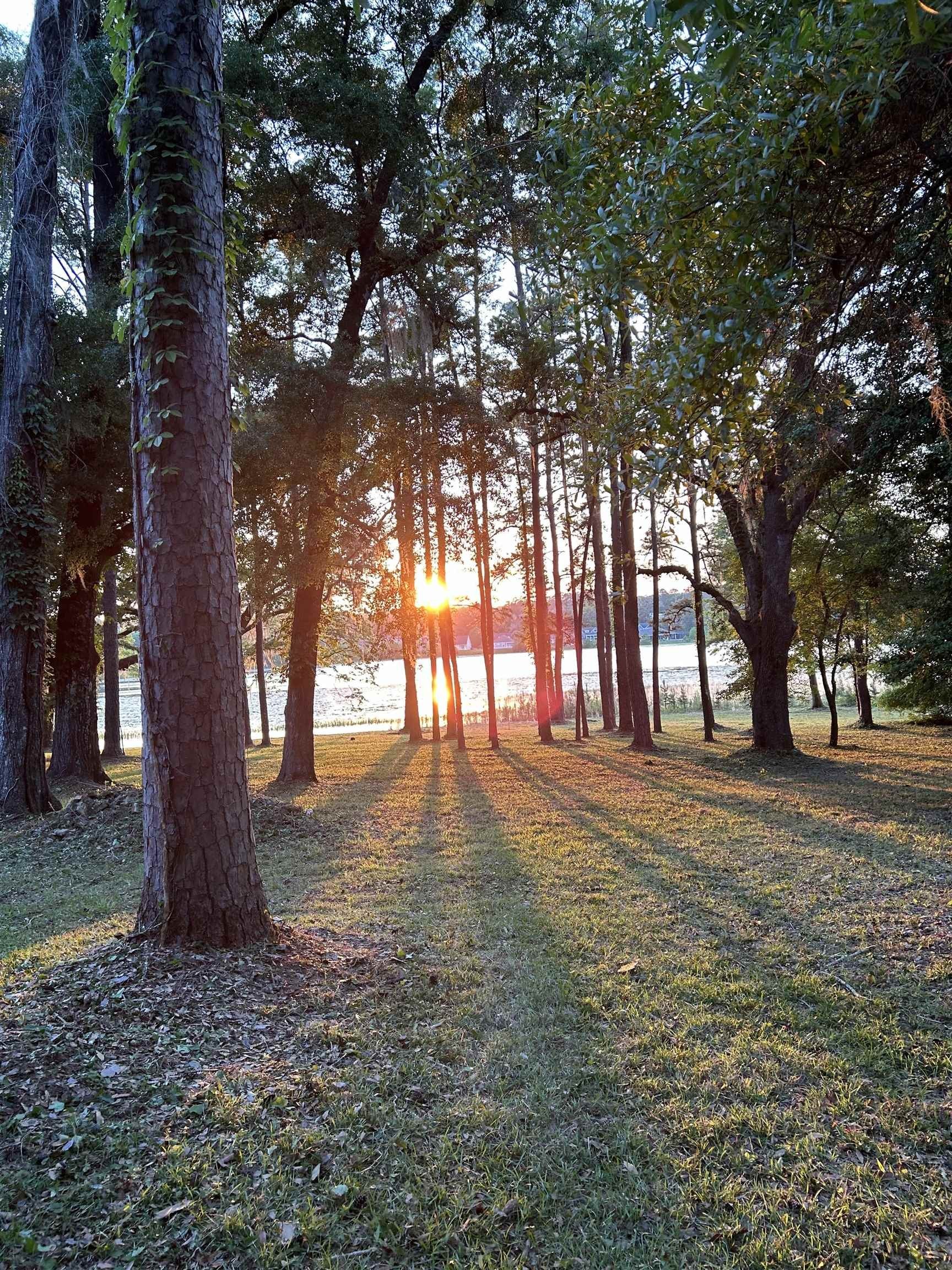 3. Buck Lake Circle