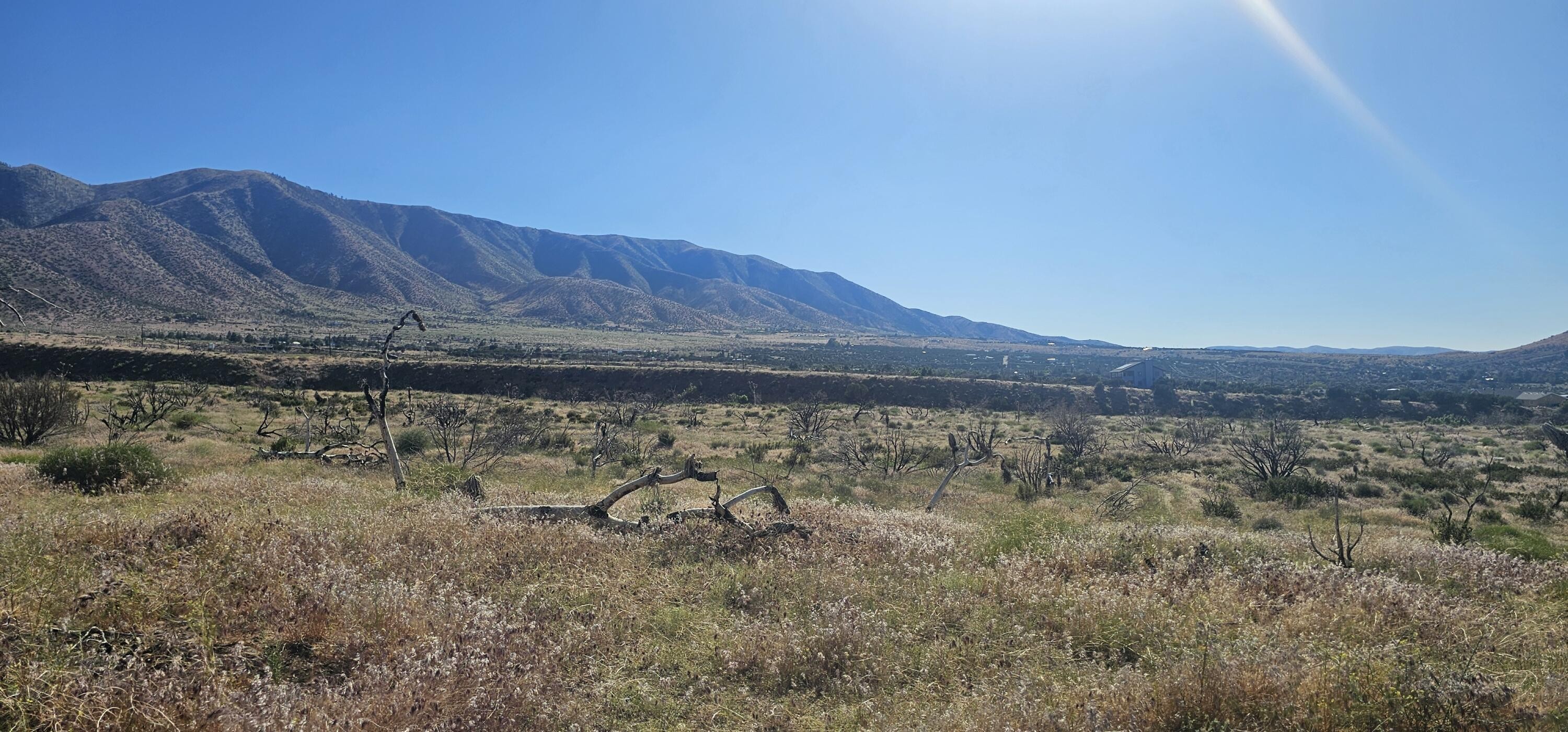 1. Cruthers Creek Road