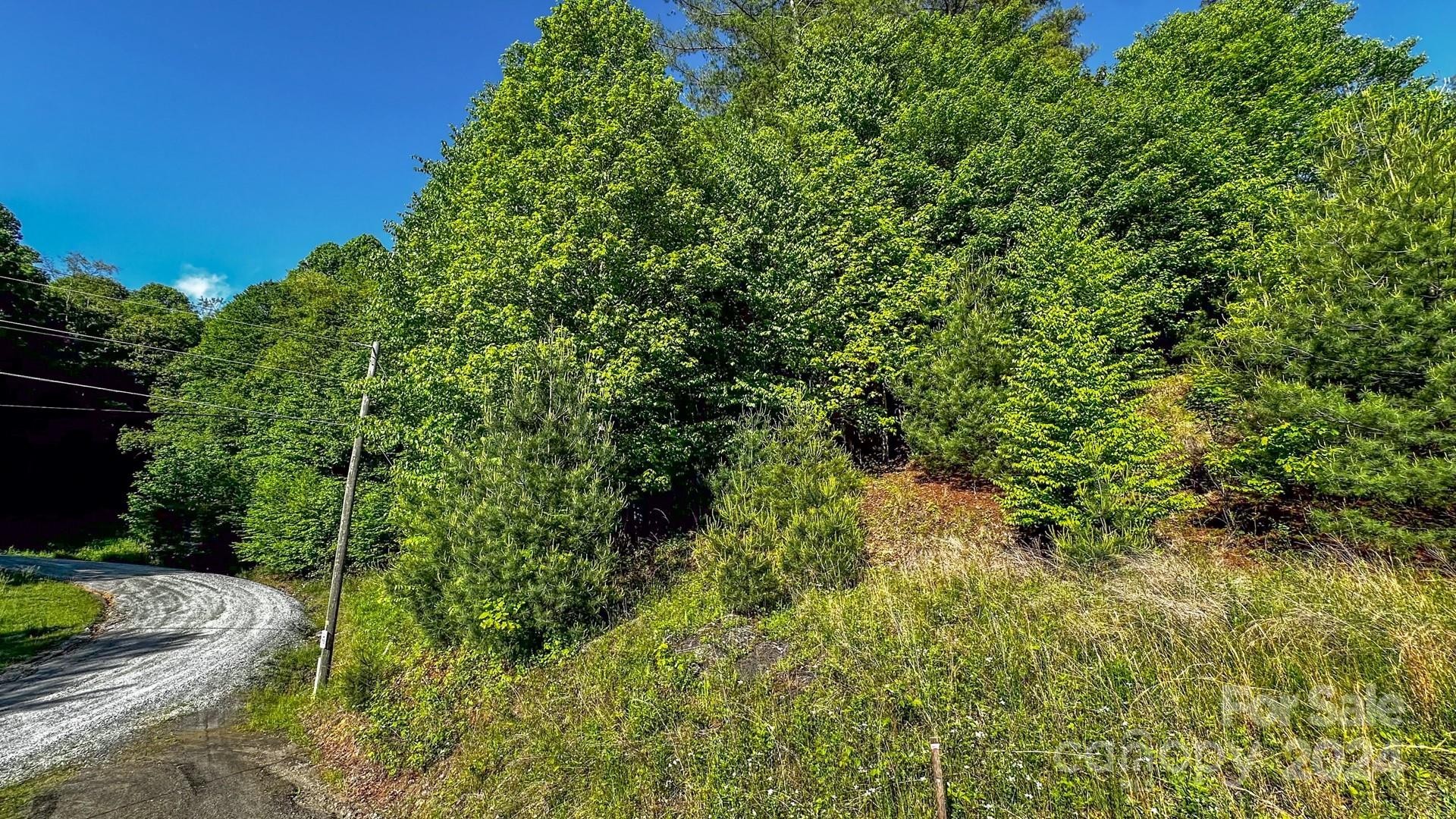 12. Lot 13-Tbd Peck Peak Road