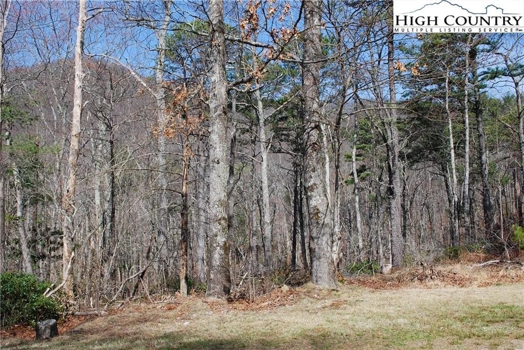 4. Lot 37 Tbd Duggerfire Tower Road