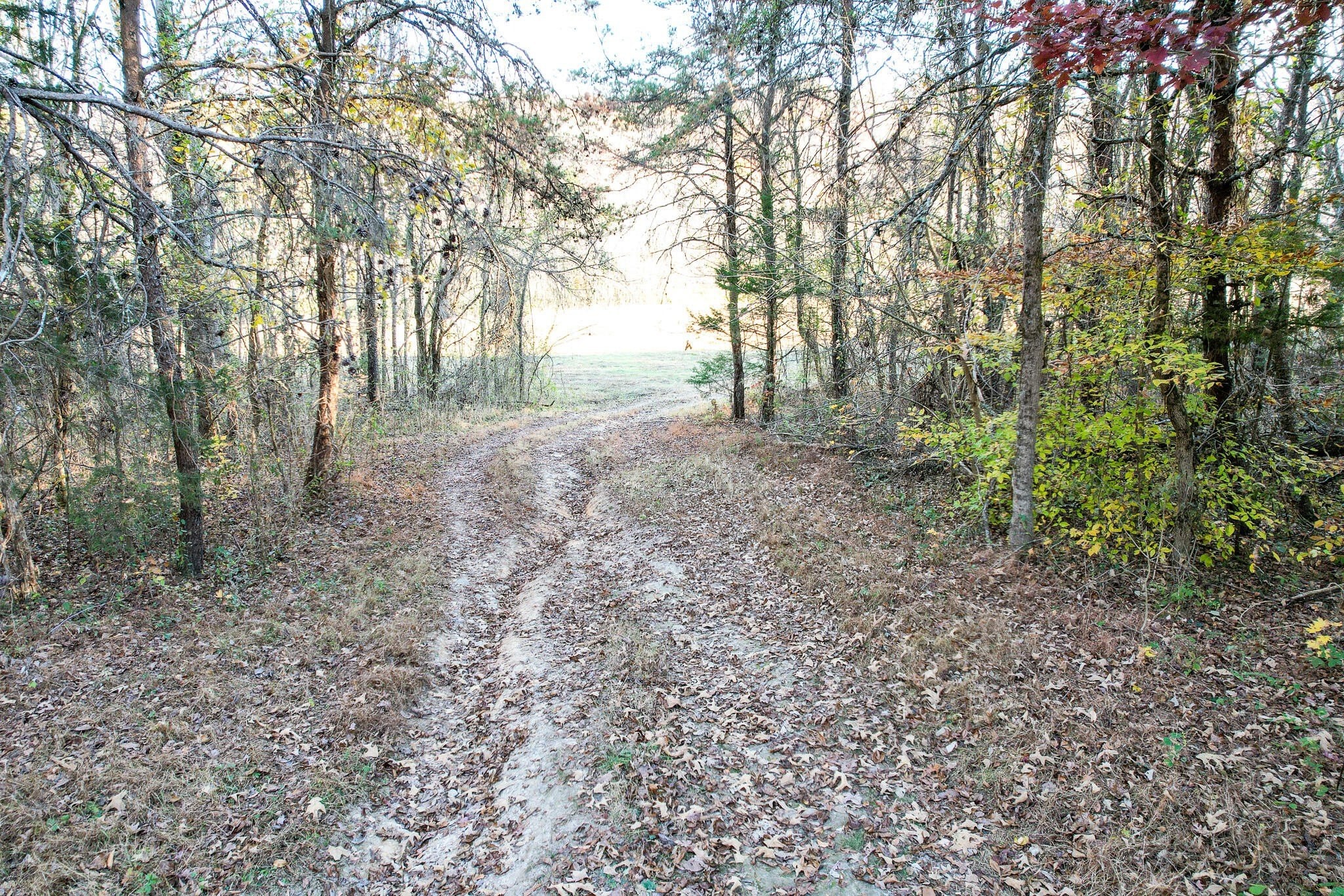 21. 36.38 Ac Poplar Springs Road