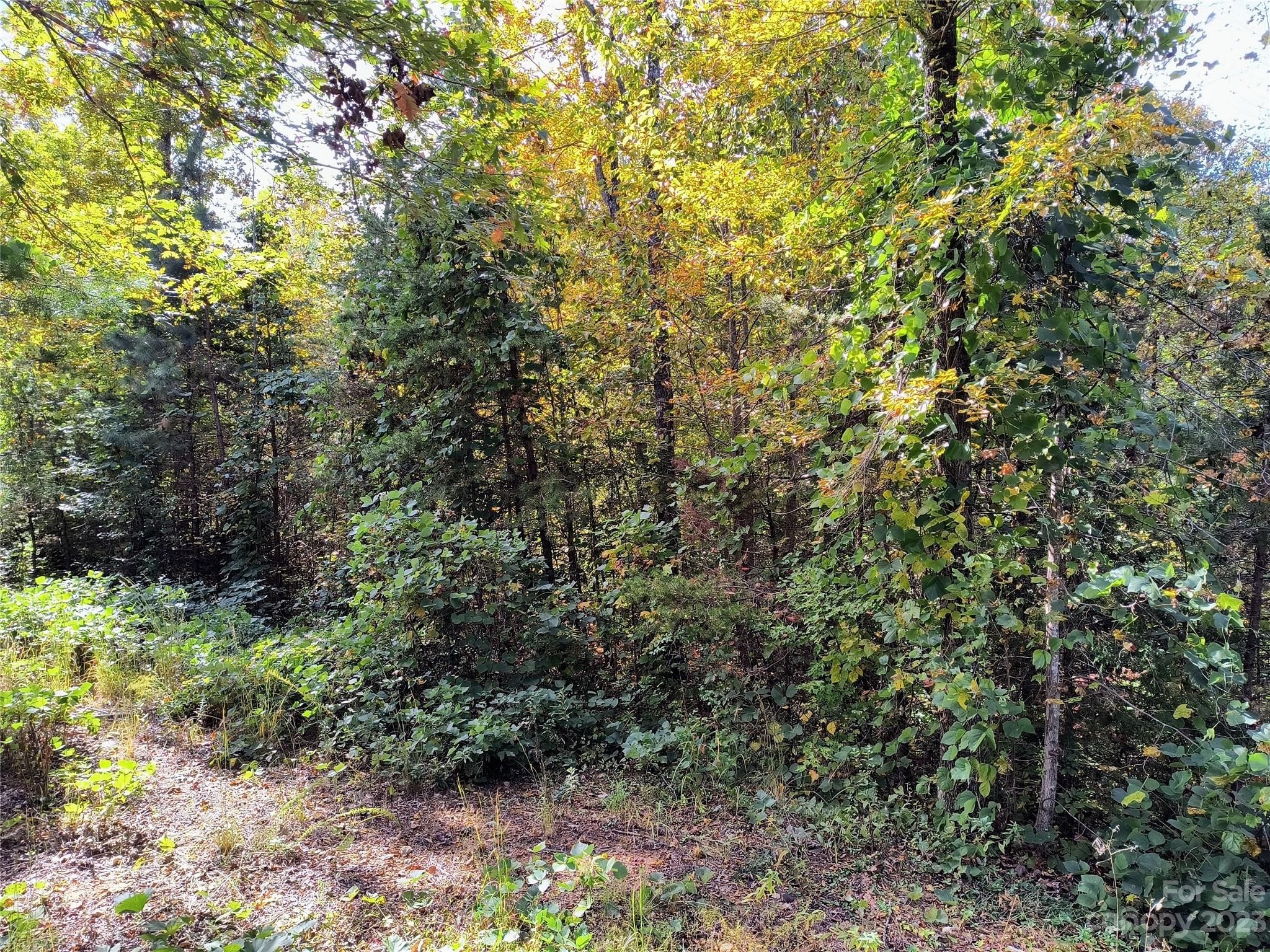 16. 1.32 Acre Lot Nathan Mcdaniel Drive