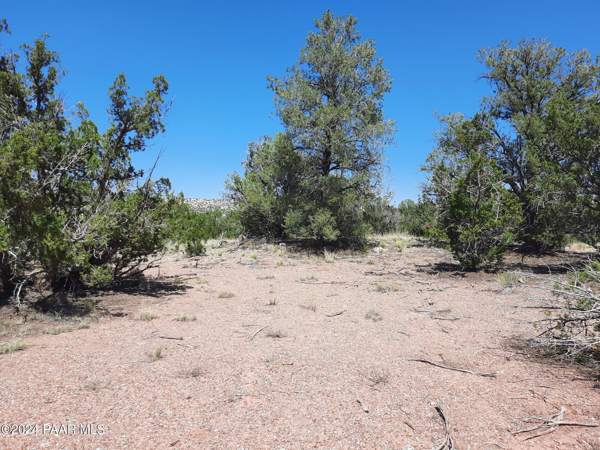 13. Lot 685 W Medicine Man Trail