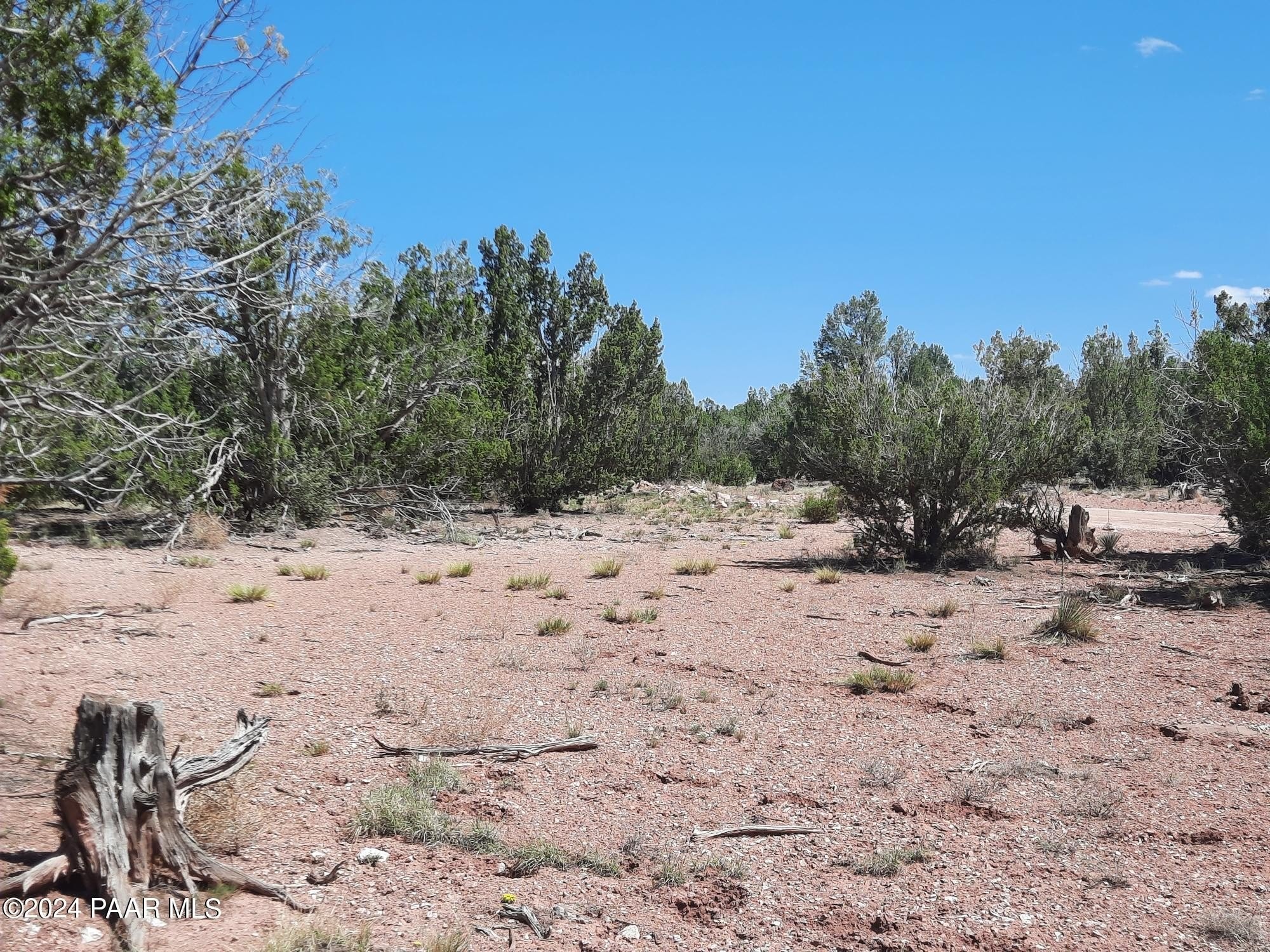 5. Lot 685 W Medicine Man Trail